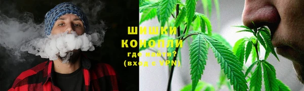 трава Куйбышев