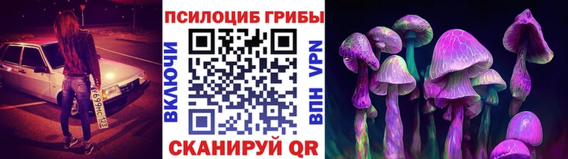 Псилоцибиновые грибы мухоморы  цены наркотик  Называевск 